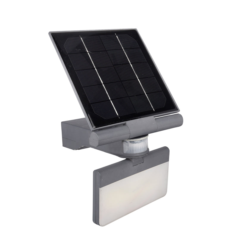 Pacific Accents 100 LED Solar Flood Light 600 Lumens