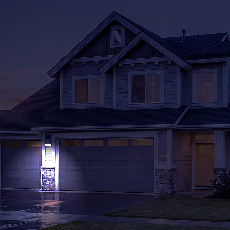 Pacific Accents 100 LED Solar Flood Light 600 Lumens