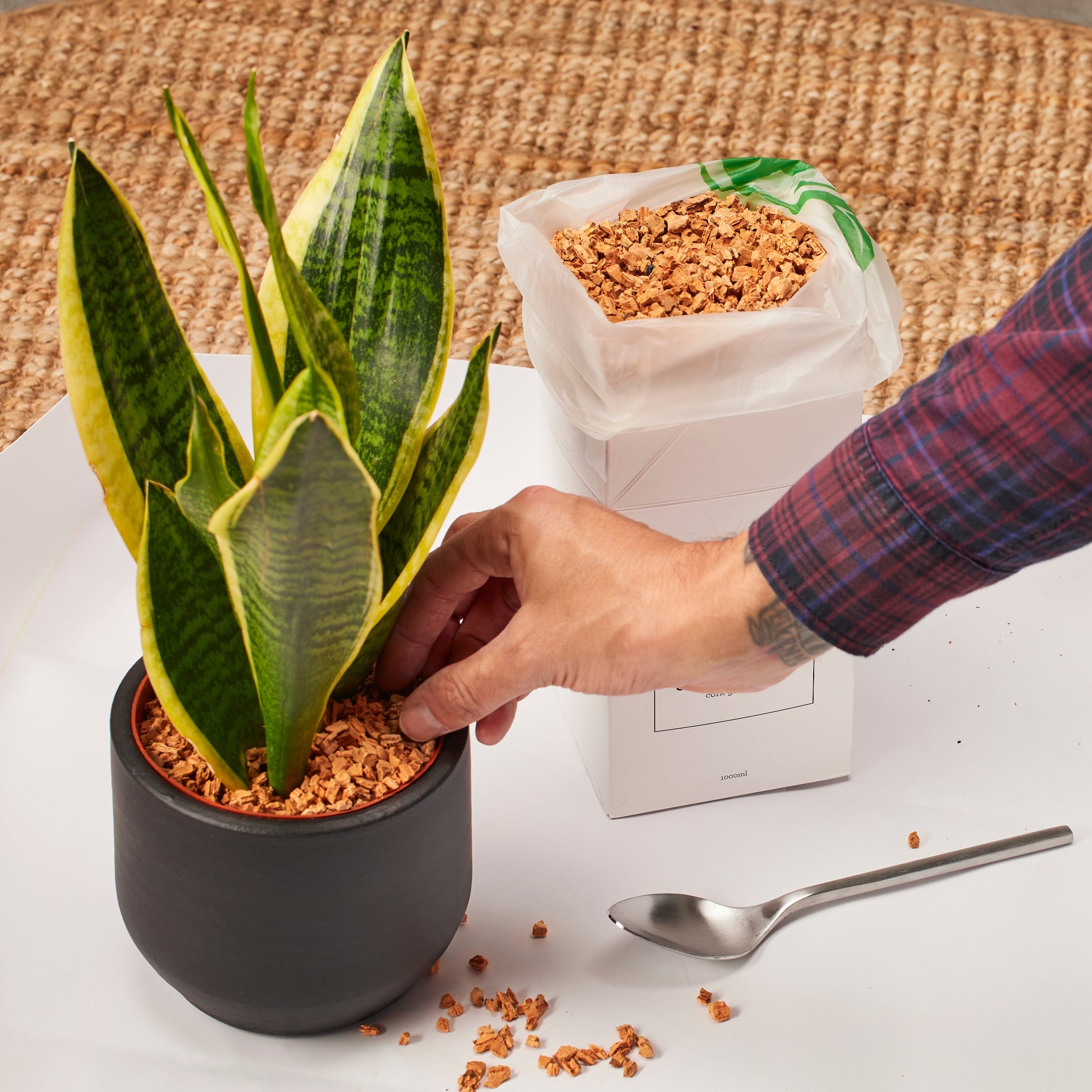 Generosa Soil Topper & Terrarium Pebbles - Natural Cork Granules for