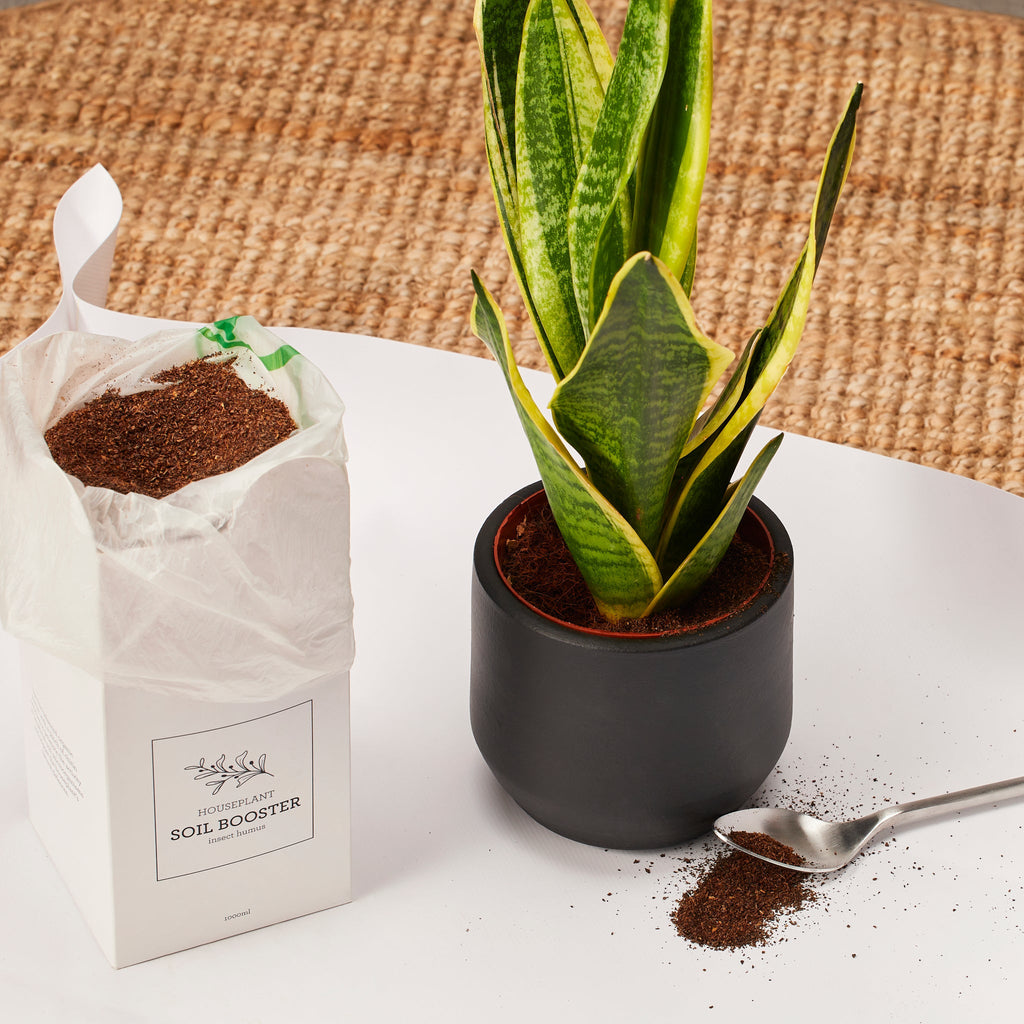 Generosa Soil Booster Organic Fertilizer - Natural Soil Enhancer for