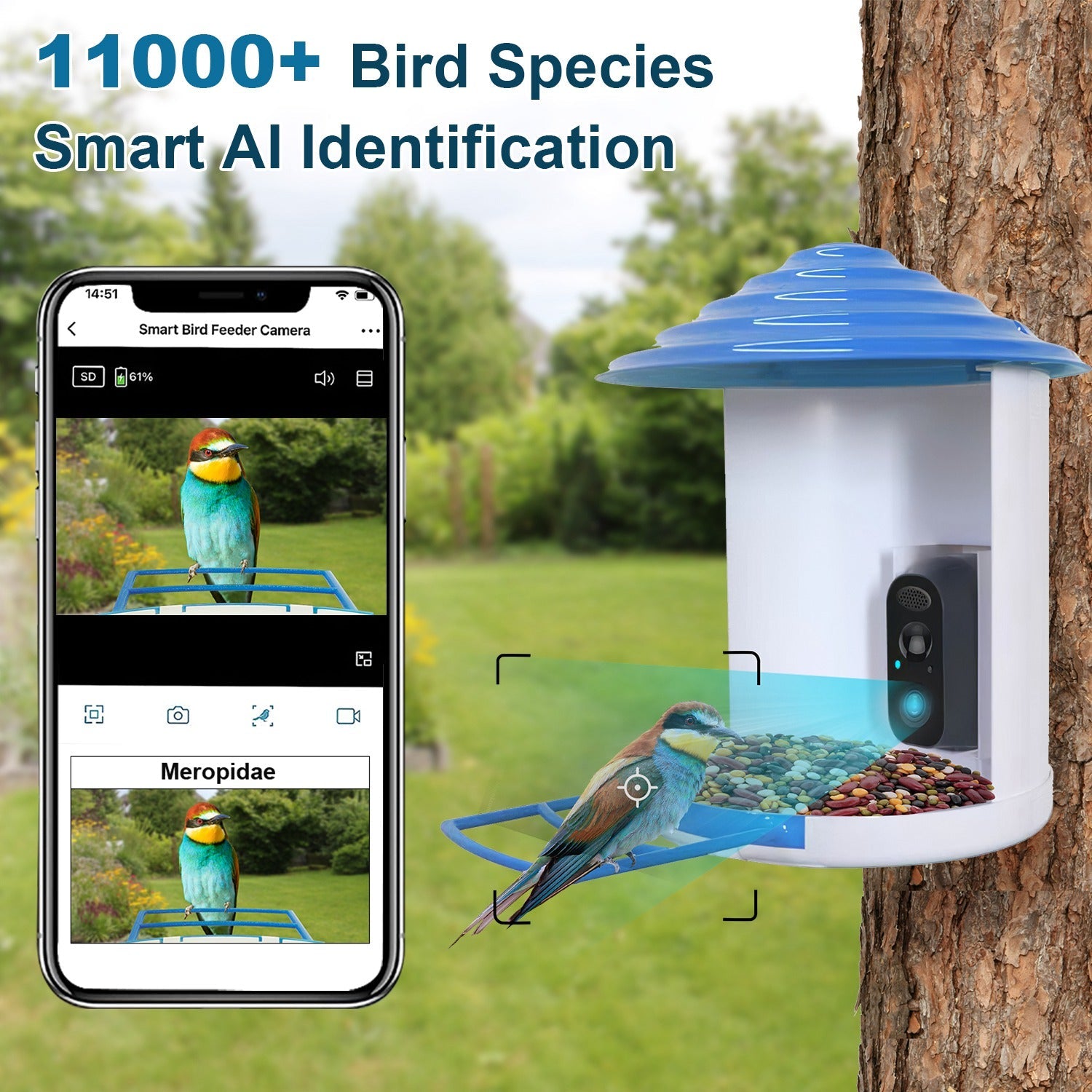 Smart Bird Feeder With Solar Powered Camera 1080P HD AI Identify PIR