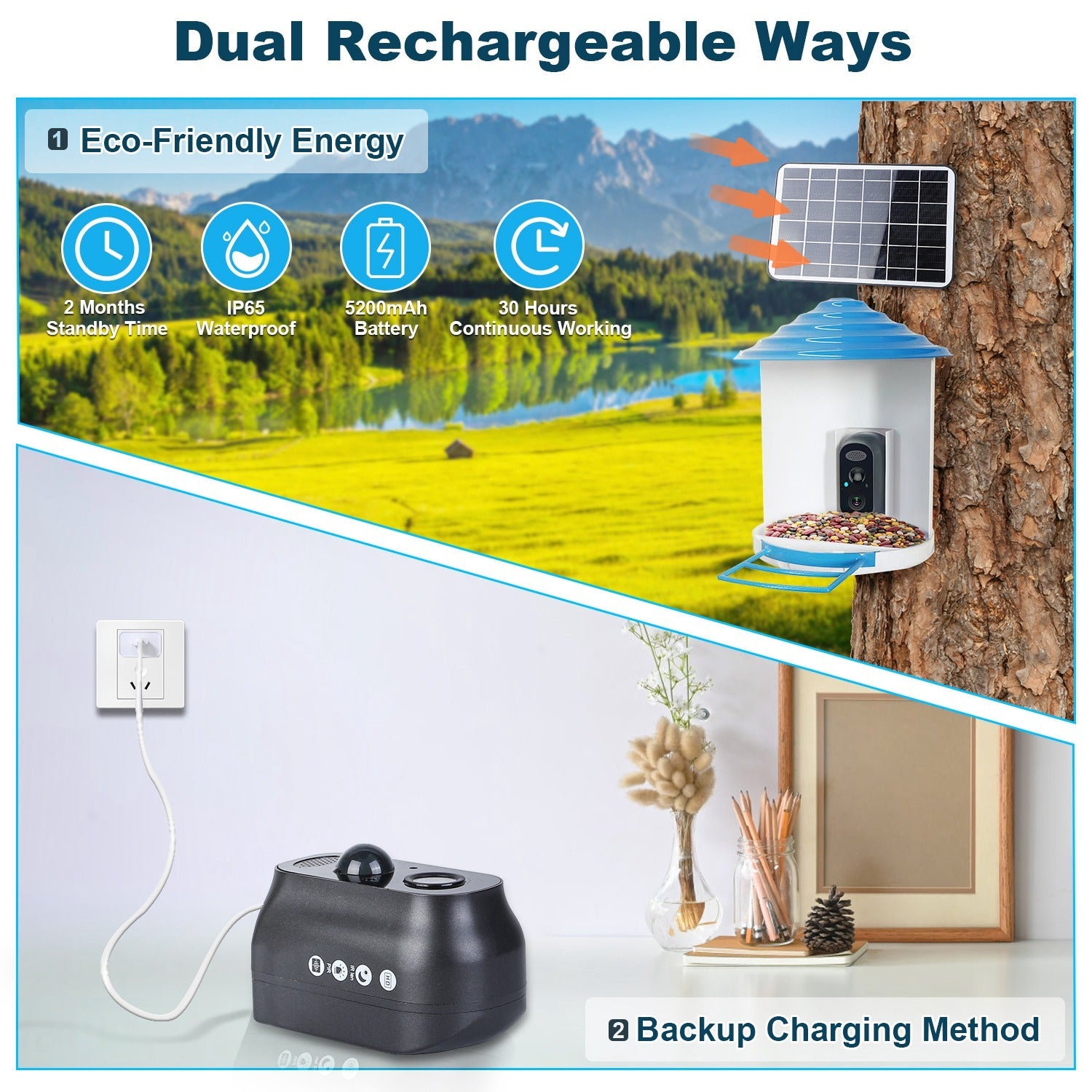 Smart Bird Feeder With Solar Powered Camera 1080P HD AI Identify PIR