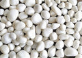 Decorative Large Size Polished Marble Stone Pebbles for Plant Pots