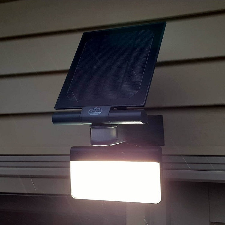 Pacific Accents 100 LED Solar Flood Light 600 Lumens