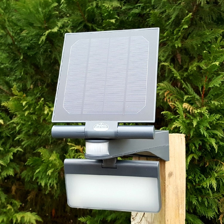 Pacific Accents 100 LED Solar Flood Light 600 Lumens
